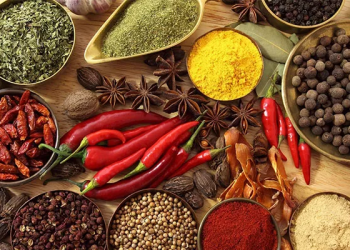 benefits of spices