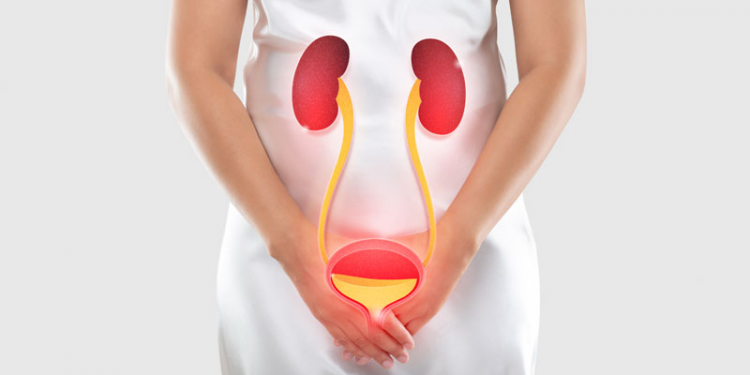 Urinary Tract Infections