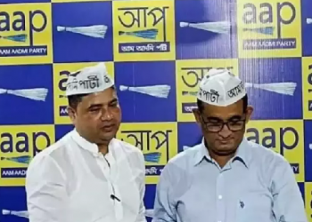 Lok Sabha Election AAP