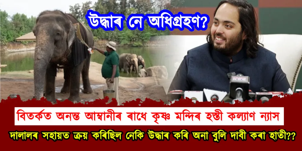 বিতৰ্কত অনন্ত আম্বানীৰ ৰাধে কৃষ্ণ মন্দিৰ হস্তী কল্যাণ ন্যাস : হাতীবোৰ উদ্ধাৰ নে অধিগ্ৰহণ কৰিছে আম্বানীয়ে?