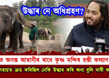 বিতৰ্কত অনন্ত আম্বানীৰ ৰাধে কৃষ্ণ মন্দিৰ হস্তী কল্যাণ ন্যাস : হাতীবোৰ উদ্ধাৰ নে অধিগ্ৰহণ কৰিছে আম্বানীয়ে?