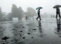 Rain in Assam