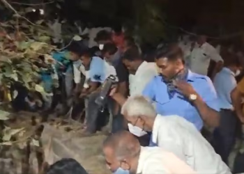 5 dead in bid to save cat