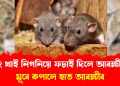 ভাং খাই নিগনিয়ে ফচাই দিলে আৰক্ষীক; সাৰি গ’ল অপৰাধী! ঘটনাটো কি জানিবলৈ পঢ়ক… 