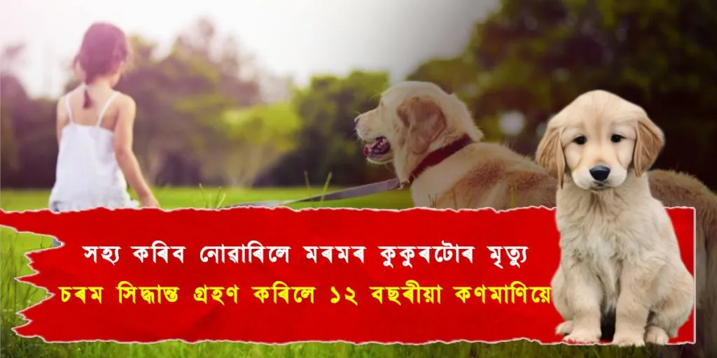 মৰ্মান্তিক! পোহনীয়া কুকুৰৰ মৃত্যুৰ বেদনাত চৰম সিদ্ধান্ত বাচি হ’লে ১২ বছৰীয়া কিশোৰীয়ে