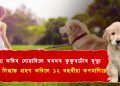 মৰ্মান্তিক! পোহনীয়া কুকুৰৰ মৃত্যুৰ বেদনাত চৰম সিদ্ধান্ত বাচি হ’লে ১২ বছৰীয়া কিশোৰীয়ে