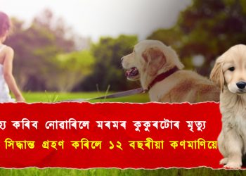 মৰ্মান্তিক! পোহনীয়া কুকুৰৰ মৃত্যুৰ বেদনাত চৰম সিদ্ধান্ত বাচি হ’লে ১২ বছৰীয়া কিশোৰীয়ে