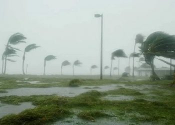 অসমতো ৰেমালৰ তাণ্ডৱ! নিশাৰ পৰা নেৰানেপেৰা ধুমুহা-বৰষুণ; মহানগৰীত বাইকৰ ওপৰত গছ ভাঙি পৰি আহত এজন