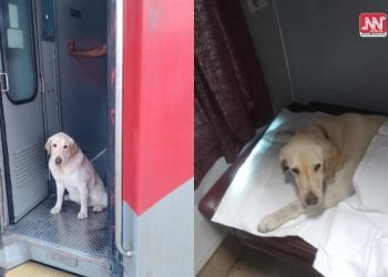 ভাৰতীয় সেনাৰ পৰা অৱসৰ গ্ৰহণ কৰিলে ‘মেৰু’ৱে; ফাৰ্ষ্ট ক্লাছ AC ডবাত বহি ঘৰমুৱা হ’ল দেশভক্ত