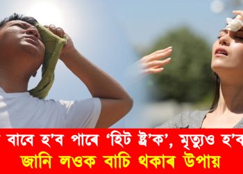 গৰমৰ বাবে হ’ব পাৰে ‘হিট ষ্ট্ৰ’ক’, মৃত্যুও হ’ব পাৰে : জানি লওক বাচি থকাৰ উপায়