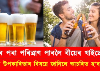 গৰমৰ পৰা পৰিত্ৰাণ পাবলৈ বীয়েৰ খাইছেনে? বীয়েৰৰ উপকাৰিতাৰ বিষয়ে জানিলে আচৰিত হ’ব আপুনি