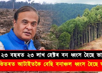 বিগত ২৩ বছৰত ২৩ লাখ হেক্টৰ বন ধ্বংস হৈছে ভাৰতত : দেশৰ ভিতৰত আটাইতকৈ বেছি বনাঞ্চল ধ্বংস হৈছে অসমত