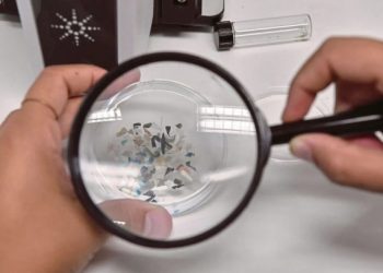 Microplastics in Testicles: সভ্যতাৰ অভিশাপ! অণ্ডকোষত জমা হৈছে প্লাষ্টিকৰ টুকুৰা; ক্ৰমান্বয়ে শুক্ৰাণুহীন হৈ পৰিছে পুৰুষ!