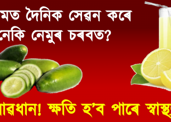 গৰমত দৈনিক সেৱন কৰে নেকি নেমুৰ চৰবত? সাৱধান! ক্ষতি হ’ব পাৰে স্বাস্থ্যৰ