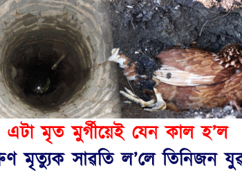মৰ্মান্তিক! এটা মৃত মুৰ্গীৰ বাবেই প্ৰাণ গ’ল তিনি যুৱকৰ