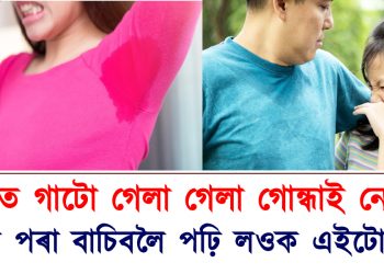 গৰমত গাটো গেলা গেলা গোন্ধাই নেকি? লাজৰ পৰা বাচিবলৈ পঢ়ি লওক এইটো লেখা
