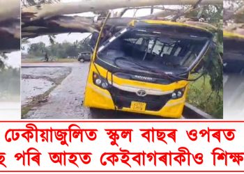 ঢেকিয়াজুলিত স্কুল বাছৰ ওপৰত বাগৰি পৰিল প্ৰকাণ্ড গছ; আহত কেইবাগৰাকী শিক্ষাৰ্থী