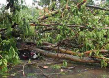 ঘূৰ্ণীবতাহ ৰেমালৰ তাণ্ডৱ! বংগত ধ্বংস বহু গছ-ঘৰ; অসমৰ ৭খন জিলাতো ধুমুহা-বৰষুণৰ আগজাননী