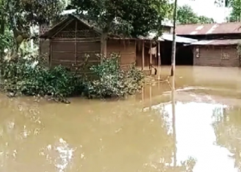 বানত বিপৰ্যস্ত অসম! প্ৰথমটো বানত ৮ জন লোকৰ মৃত্যু; ১১ খন জিলাত ৩.৪৯ লাখ লোক আক্ৰান্ত