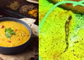 দাইলত ওলাল সাপ! চৰকাৰী মহাবিদ্যালয়ৰ কেণ্টিনৰ খাদ্য খাই চিকিৎসাধীন ১৫গৰাকী শিক্ষাৰ্থী