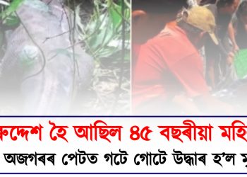 নিৰুদ্দেশ হৈ আছিল ৪৫ বছৰীয়া মহিলা : প্ৰকাণ্ড অজগৰৰ পেটত গটে গোটে উদ্ধাৰ হ’ল মৃতদেহ