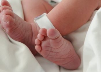 বৰপেটাত জাৱৰৰ দমত উদ্ধাৰ এটি নৱজাতকৰ মৃতদেহ