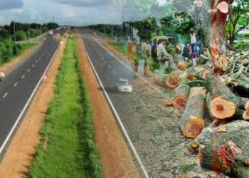 চাৰিশৰীয়া ৰাষ্ট্ৰীয় ঘাইপথ নিৰ্মাণৰ বাবে কটা হৈছে ৬,৮৫২ জোপা গছ : RTI ৰ উত্তৰত ভয়ংকৰ তথ্য