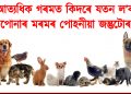 আত্যধিক গৰমত কিদৰে যতন ল’ব আপোনাৰ মৰমৰ পোহনীয়া জন্তুটোৰ?