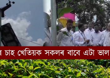 ৰাজ্যৰ চাহ খেতিয়ক সকলৰ বাবে এটা ভাল খবৰ : আহি গ’ল অত্যাধুনিক AI প্ৰযুক্তি