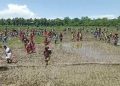 কাজিৰঙাৰ ইংলে পথাৰত থলুৱা শ্ৰমিক পৰিয়াল আৰু ছাত্ৰ নেতাৰ ওপৰত বৰ্বৰ হৈ উঠিল অসম আৰক্ষী; ভূমিৰ অধিকাৰৰ দাবী কৰা প্ৰতিবাদকাৰীক নিৰ্মম লাঠিচাৰ্জ