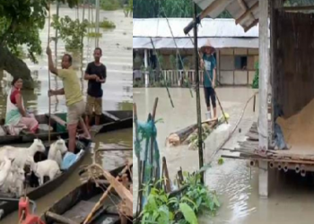 বোকাখাতত বানে লৈছে সংহাৰী ৰূপ; চৌদিশে বন্যাৰ্তৰ মাজত হাহাকাৰ অৱস্থা