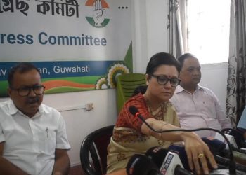 বিজেপিৰ অপপ্ৰচাৰক লৈ প্ৰদেশ কংগ্ৰেছৰ সংবাদমেল