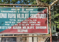 সোণাই-ৰূপাই বন্যপ্ৰাণী অভয়াৰণ্যত বিদ্যালয়,পথ নিৰ্মাণ কৰি NGT ৰ ৰোষৰ সন্মুখীন অসম চৰকাৰ