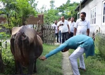 গৰুৰ গাত লাগি থকা জোক আঁতৰাই গো-সেৱা কৰিলে ৰাজ্যিক বিজেপিৰ সভাপতি ভৱেশ কলিতাই; ফটো-ভিডিঅ’ত ব্যস্ত দলীয় সতীৰ্থ
