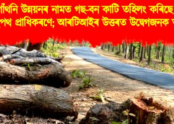 আন্তঃগাঁথনি উন্নয়নৰ নামত গছ-বন কাটি তহিলং কৰিছে ৰাষ্ট্ৰীয় ঘাইপথ প্ৰাধিকৰণে; আৰটিআইৰ উত্তৰত উদ্বেগজনক তথ্য