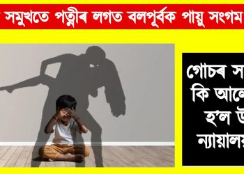 সন্তানৰ সমুখতে পত্নীৰ লগত বলপূৰ্বক পায়ু সংগম : গোচৰ সম্পৰ্কে কি আলোচনা হ’ল উচ্চ ন্যায়ালয়ত?