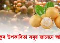 বতৰৰ ফল আৰু গ্ৰাম্য আমেজ : লেতেকুৰ উপকাৰিতা সমূহ জানেনে আপুনি?