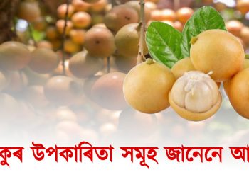 বতৰৰ ফল আৰু গ্ৰাম্য আমেজ : লেতেকুৰ উপকাৰিতা সমূহ জানেনে আপুনি?