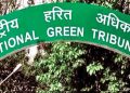 কটা হৈছে লাখ লাখ গছ : তিনি ৰাজ্যলৈ জাননী জাৰি ৰাষ্ট্ৰীয় সেউজ ন্যায়াধিকৰণৰ
