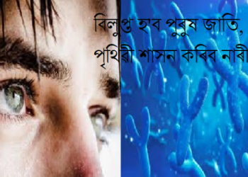পৃথিৱীৰ পৰা নোহোৱা হৈ যাব পুৰুষ প্ৰজাতি! ভয়ংকৰভাৱে হ্ৰাস পাইছে Y ক্ৰম’জম