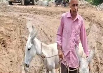 নিসংগতাৰ পৰা মুক্তিৰ আজৱ উপায়! প্ৰাক্তন IAS বিষয়াৰ সৈতে ৰাস্তাত দুটা গাধ
