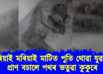 মৰিয়াই মৰিয়াই মাটিত পুতি থোৱা যুৱকৰ প্ৰাণ বচালে পথৰ ভতুৱা কুকুৰে : কিন্তু কেনেকৈ?