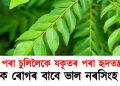 সুস্বাস্থ্যৰ বাবে নিতৌ পুৱা খাওক নৰসিংহ পাত ; ভাল হ’ব কেইবাটাও ৰোগ
