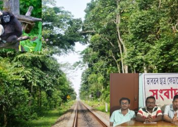 হোলোঙাপাৰ গিবন অভয়াৰণ্যত ৰে’ল লাইনৰ বৈদ্যুতিকৰণৰ বিৰুদ্ধে সৰৱ এছএফআই আৰু ডিৱাইএফআই
