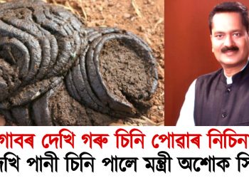 গোবৰ দেখি গৰু চিনি পোৱাৰ নিচিনা : ৰং দেখি পানী চিনি পালে মন্ত্ৰী অশোক সিংহলে