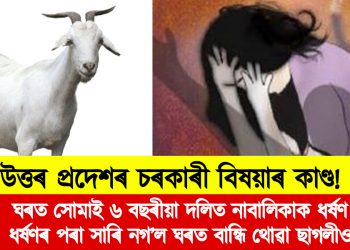 উত্তৰ প্ৰদেশৰ চৰকাৰী বিষয়াৰ কাণ্ড! ঘৰত সোমাই ৬ বছৰীয়া দলিত নাবালিকাক ধৰ্ষণ, সাৰি নগ’ল বান্ধি থোৱা ছাগলীও