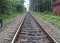 গিবন অভয়াৰণ্য ধ্বংস কৰাৰ প্ৰতিযোগিতাত নামিছে বিজেপি চৰকাৰ : DYFI