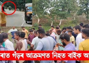 পবিতৰাত গঁড়ৰ আক্ৰমণত নিহত বাইক আৰোহী : বন বিভাগৰ বিৰুদ্ধে বিস্ফোৰক অভিযোগ