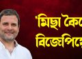 ‘মিছা কৈছে বিজেপিয়ে’ : আমেৰিকাত কৰা মন্তব্যৰ বিষয়ে মুকলিকৈ ক’লে ৰাহুল গান্ধীয়ে