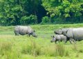কাজিৰঙাক পৰিবেশ সংবেদনশীল অঞ্চল ঘোষণাৰ বাবে দাখিল কৰা আবেদনত স্থগিতাদেশ গুৱাহাটী হাই কোৰ্টৰ